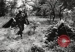 Standbild Rifle Squad in Angriff United States USA, 1965, aus Sekunde 52 historischem Filmmaterial Videoclip 65675022233