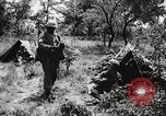 Standbild Rifle Squad in Angriff United States USA, 1965, aus Sekunde 53 historischem Filmmaterial Videoclip 65675022233