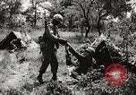 Standbild Rifle Squad in Angriff United States USA, 1965, aus Sekunde 54 historischem Filmmaterial Videoclip 65675022233