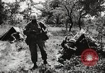 Standbild Rifle Squad in Angriff United States USA, 1965, aus Sekunde 55 historischem Filmmaterial Videoclip 65675022233