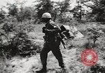 Standbild Rifle Squad in Angriff United States USA, 1965, aus Sekunde 56 historischem Filmmaterial Videoclip 65675022233
