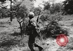Standbild Rifle Squad in Angriff United States USA, 1965, aus Sekunde 57 historischem Filmmaterial Videoclip 65675022233