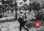 Standbild Rifle Squad in Angriff United States USA, 1965, aus Sekunde 58 historischem Filmmaterial Videoclip 65675022233