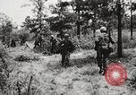 Standbild Rifle Squad in Angriff United States USA, 1965, aus Sekunde 60 historischem Filmmaterial Videoclip 65675022233