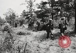 Standbild Rifle Squad in Angriff United States USA, 1965, aus Sekunde 61 historischem Filmmaterial Videoclip 65675022233