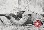 Standbild Sergeant Collins' Team Fortschritte United States USA, 1965, aus Sekunde 39 historischem Filmmaterial Videoclip 65675022234
