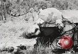 Standbild Sergeant Collins' Team Fortschritte United States USA, 1965, aus Sekunde 45 historischem Filmmaterial Videoclip 65675022234
