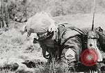 Standbild Sergeant Collins' Team Fortschritte United States USA, 1965, aus Sekunde 46 historischem Filmmaterial Videoclip 65675022234