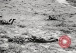 Image of Seargent Collins advances with team United States USA, 1965, second 61 stock footage video 65675022235