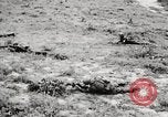 Image of Seargent Collins advances with team United States USA, 1965, second 62 stock footage video 65675022235