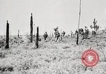 Standbild Seargent Collins' Team Fortschritte United States USA, 1965, aus Sekunde 33 historischem Filmmaterial Videoclip 65675022236