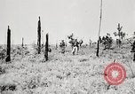 Standbild Seargent Collins' Team Fortschritte United States USA, 1965, aus Sekunde 35 historischem Filmmaterial Videoclip 65675022236