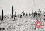 Standbild Seargent Collins' Team Fortschritte United States USA, 1965, aus Sekunde 36 historischem Filmmaterial Videoclip 65675022236