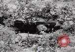 Image of Rifle squad in Defense Part II United States USA, 1965, second 13 stock footage video 65675022238