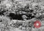 Image of Rifle squad in Defense Part II United States USA, 1965, second 14 stock footage video 65675022238