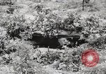 Image of Rifle squad in Defense Part II United States USA, 1965, second 15 stock footage video 65675022238