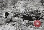 Image of Rifle squad in Defense Part II United States USA, 1965, second 16 stock footage video 65675022238