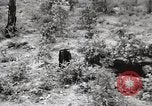 Image of Rifle squad in Defense Part II United States USA, 1965, second 17 stock footage video 65675022238