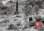 Image of Rifle squad in Defense Part II United States USA, 1965, second 18 stock footage video 65675022238