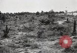 Image of Rifle squad in Defense Part II United States USA, 1965, second 22 stock footage video 65675022238