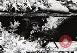 Image of Rifle squad in Defense Part II United States USA, 1965, second 24 stock footage video 65675022238