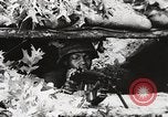 Image of Rifle squad in Defense Part II United States USA, 1965, second 26 stock footage video 65675022238