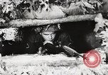 Image of Rifle squad in Defense Part II United States USA, 1965, second 29 stock footage video 65675022238