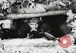Image of Rifle squad in Defense Part II United States USA, 1965, second 30 stock footage video 65675022238