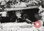 Image of Rifle squad in Defense Part II United States USA, 1965, second 31 stock footage video 65675022238