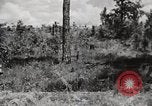 Image of Rifle squad in Defense Part II United States USA, 1965, second 47 stock footage video 65675022238