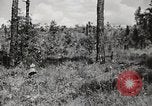 Image of Rifle squad in Defense Part II United States USA, 1965, second 48 stock footage video 65675022238