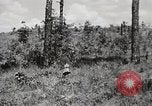 Image of Rifle squad in Defense Part II United States USA, 1965, second 49 stock footage video 65675022238