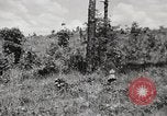 Image of Rifle squad in Defense Part II United States USA, 1965, second 50 stock footage video 65675022238