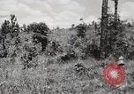Image of Rifle squad in Defense Part II United States USA, 1965, second 51 stock footage video 65675022238
