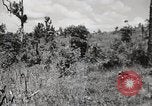 Image of Rifle squad in Defense Part II United States USA, 1965, second 52 stock footage video 65675022238