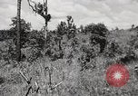 Image of Rifle squad in Defense Part II United States USA, 1965, second 53 stock footage video 65675022238