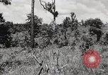 Image of Rifle squad in Defense Part II United States USA, 1965, second 54 stock footage video 65675022238