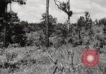 Image of Rifle squad in Defense Part II United States USA, 1965, second 55 stock footage video 65675022238