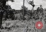Image of Rifle squad in Defense Part II United States USA, 1965, second 56 stock footage video 65675022238