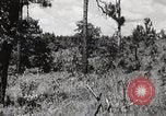 Image of Rifle squad in Defense Part II United States USA, 1965, second 57 stock footage video 65675022238