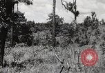 Image of Rifle squad in Defense Part II United States USA, 1965, second 58 stock footage video 65675022238