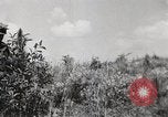 Image of Rifle squad in Defense Part II United States USA, 1965, second 59 stock footage video 65675022238