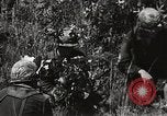 Standbild Rifle Squad Mitglieder United States USA, 1965, aus Sekunde 3 historischem Filmmaterial Videoclip 65675022239