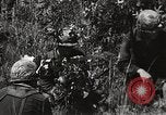 Standbild Rifle Squad Mitglieder United States USA, 1965, aus Sekunde 4 historischem Filmmaterial Videoclip 65675022239