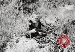 Standbild Rifle Squad Mitglieder United States USA, 1965, aus Sekunde 34 historischem Filmmaterial Videoclip 65675022239