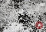 Standbild Rifle Squad Mitglieder United States USA, 1965, aus Sekunde 35 historischem Filmmaterial Videoclip 65675022239
