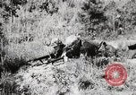 Standbild Rifle Squad Mitglieder United States USA, 1965, aus Sekunde 44 historischem Filmmaterial Videoclip 65675022239