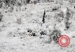 Standbild Rifle Squad Mitglieder United States USA, 1965, aus Sekunde 29 historischem Filmmaterial Videoclip 65675022240