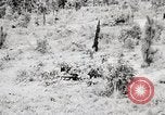 Standbild Rifle Squad Mitglieder United States USA, 1965, aus Sekunde 31 historischem Filmmaterial Videoclip 65675022240