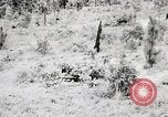 Standbild Rifle Squad Mitglieder United States USA, 1965, aus Sekunde 32 historischem Filmmaterial Videoclip 65675022240
